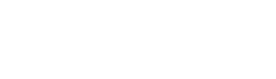 Wellmore Holdings